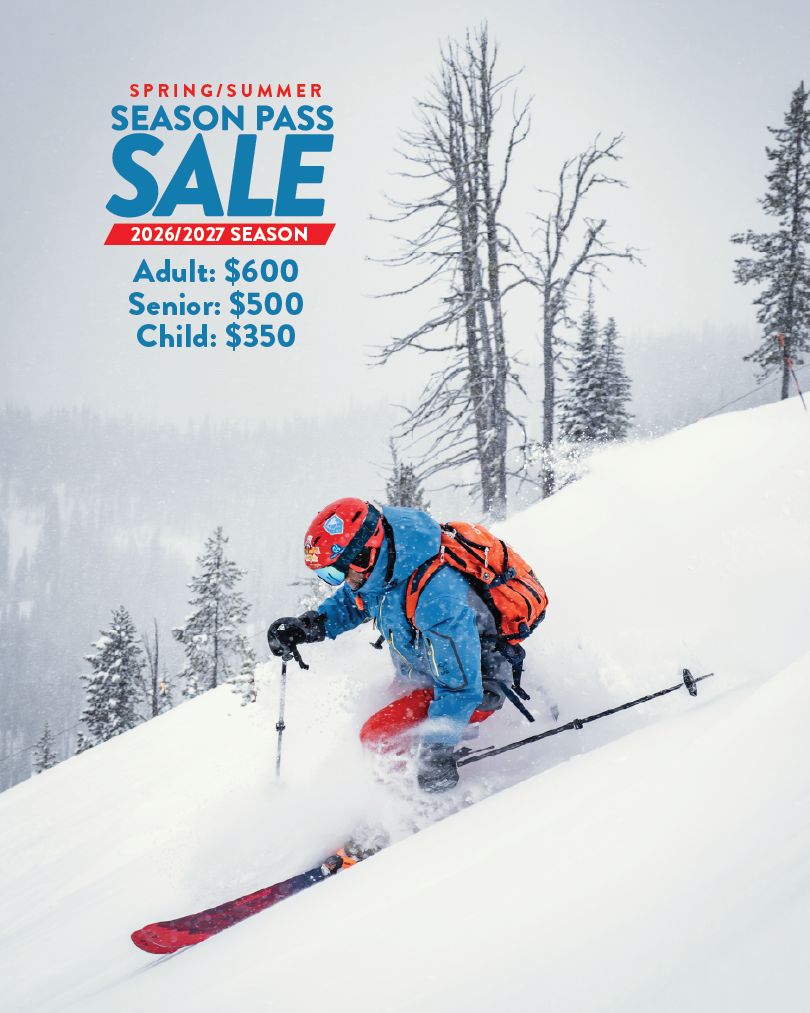 A skier in winter gear descends a snowy slope with trees in the background; overlaid text highlights 2026/2027 Season Passes sale prices for adults, seniors, and children.
